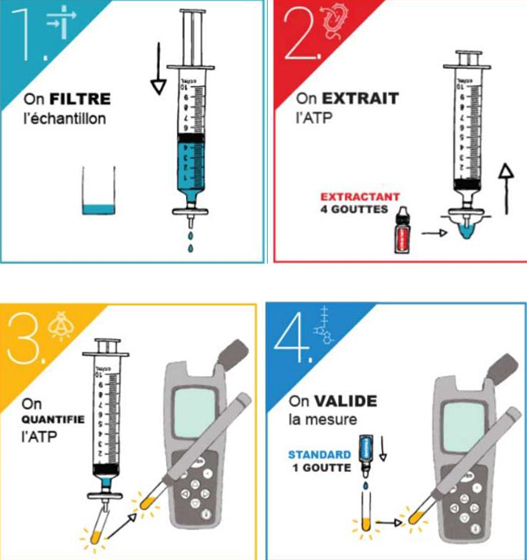 Infographie ATP métrie, les 4 différentes étapes d'un test ATP métrie post nettoyage et désinfection d'ouvrage ou réseau d'eau potable.