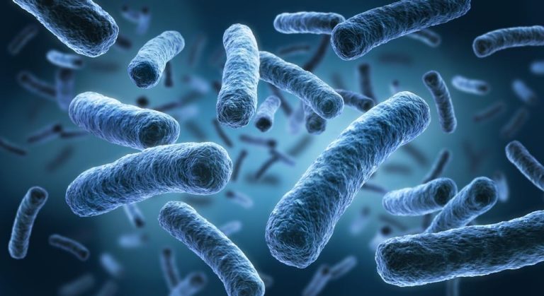 Les contaminants présents dans l'eau potable des ouvrages ou réseaux. Problématique expliquée par la société Hp2O.