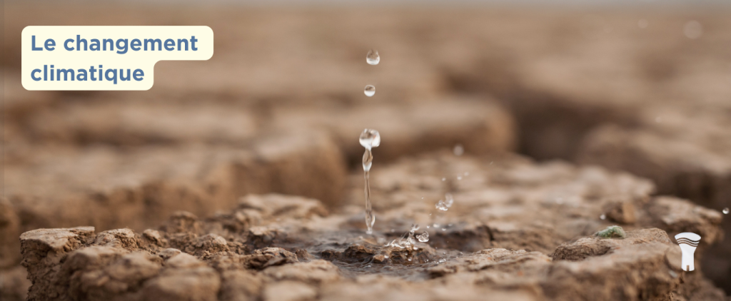 Changement climatique, sauvons l'eau